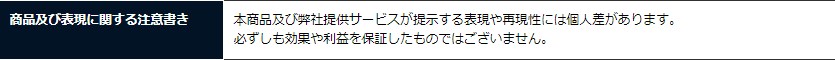 株式会社SKSystems TPO